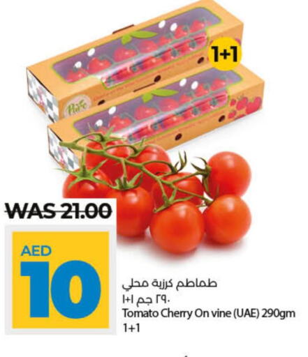 Tomato  in Lulu Hypermarket in UAE - Dubai