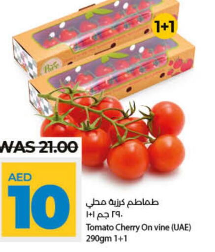  Tomato  in Lulu Hypermarket in UAE - Umm al Quwain