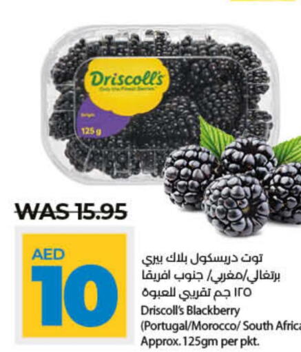  Berries  in لولو هايبرماركت in الإمارات العربية المتحدة , الامارات - رَأْس ٱلْخَيْمَة