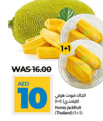  Jack fruit  in لولو هايبرماركت in الإمارات العربية المتحدة , الامارات - رَأْس ٱلْخَيْمَة