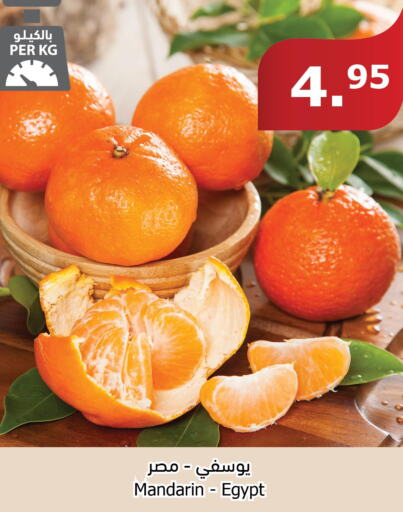  Orange  in Al Raya in KSA, Saudi Arabia, Saudi - Al Bahah