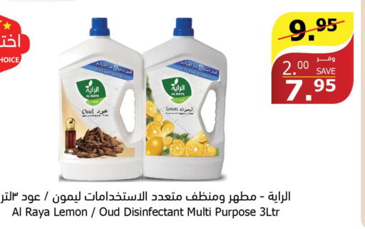  Disinfectant  in Al Raya in KSA, Saudi Arabia, Saudi - Ta'if
