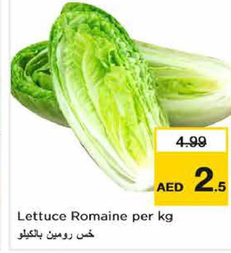  Cabbage  in Nesto Hypermarket in UAE - Abu Dhabi