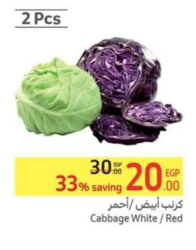  Cabbage  in كارفور in Egypt - القاهرة