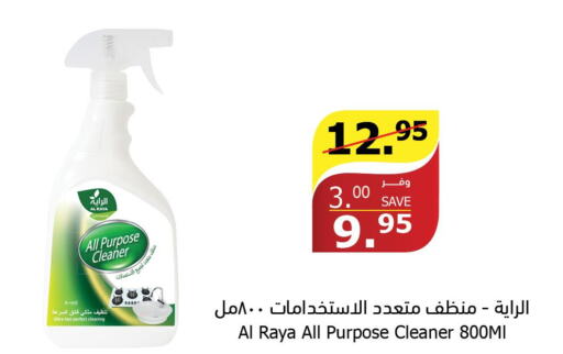  General Cleaner  in Al Raya in KSA, Saudi Arabia, Saudi - Al Bahah