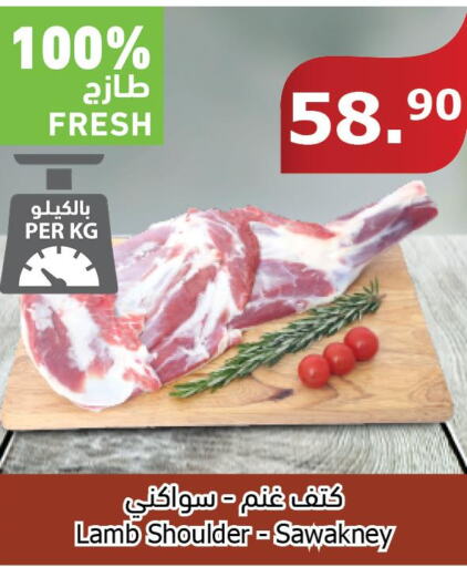  Mutton / Lamb  in Al Raya in KSA, Saudi Arabia, Saudi - Jazan