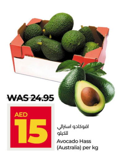  Avacado  in Lulu Hypermarket in UAE - Abu Dhabi