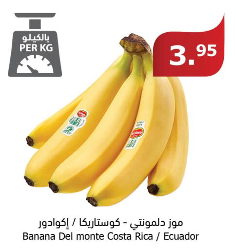  Banana  in Al Raya in KSA, Saudi Arabia, Saudi - Jazan