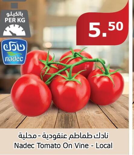  Tomato  in الراية in مملكة العربية السعودية, السعودية, سعودية - الطائف