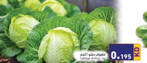  Cabbage  in Ramez in Kuwait - Ahmadi Governorate