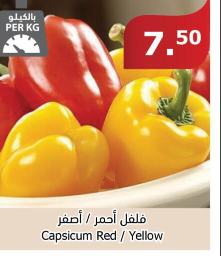  Chilli / Capsicum  in Al Raya in KSA, Saudi Arabia, Saudi - Jazan