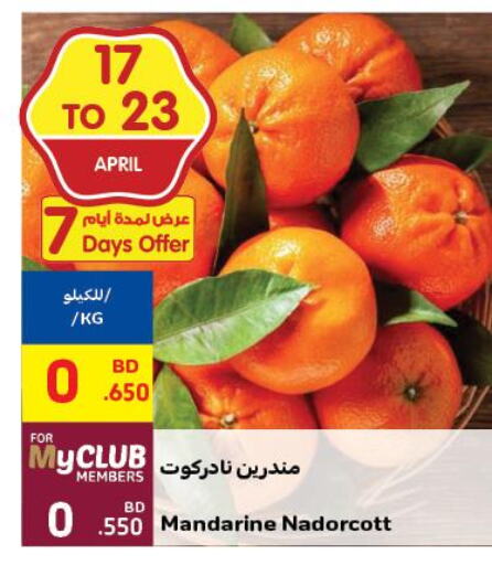  Avacado  in Carrefour in Bahrain