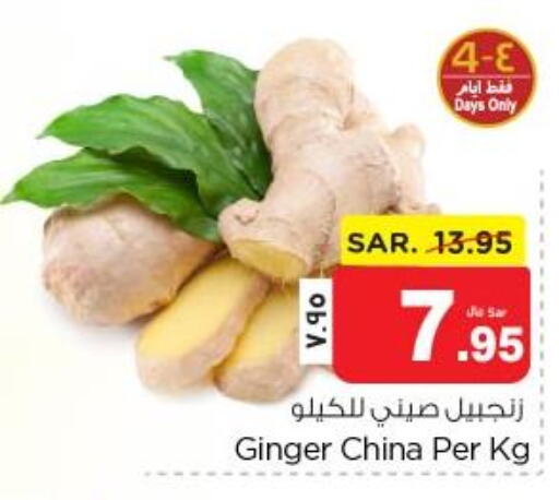  Ginger  in Nesto in KSA, Saudi Arabia, Saudi - Jubail