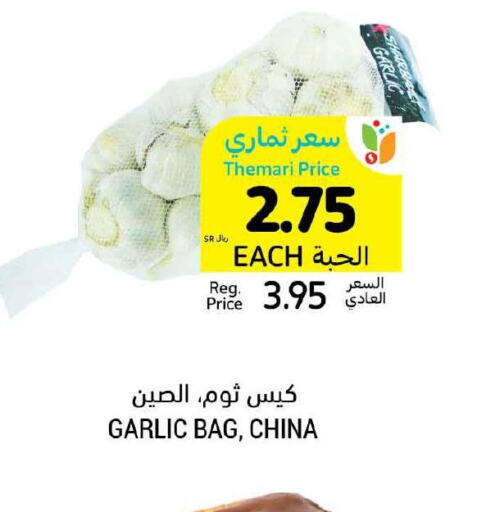  Garlic  in Tamimi Market in KSA, Saudi Arabia, Saudi - Abha
