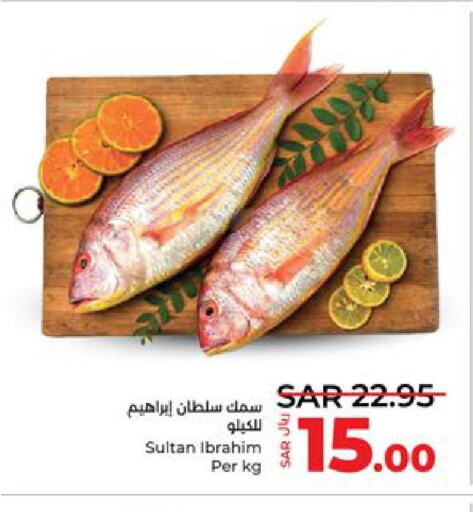 Tuna  in LULU Hypermarket in KSA, Saudi Arabia, Saudi - Yanbu