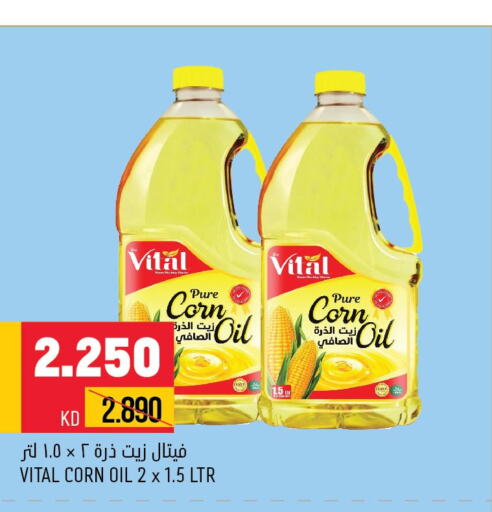  Corn Oil  in Oncost in Kuwait - Kuwait City
