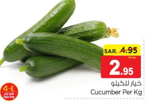  Cucumber  in Nesto in KSA, Saudi Arabia, Saudi - Buraidah