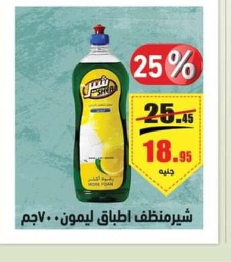 PRIL General Cleaner  in أسواق العثيم in Egypt - القاهرة
