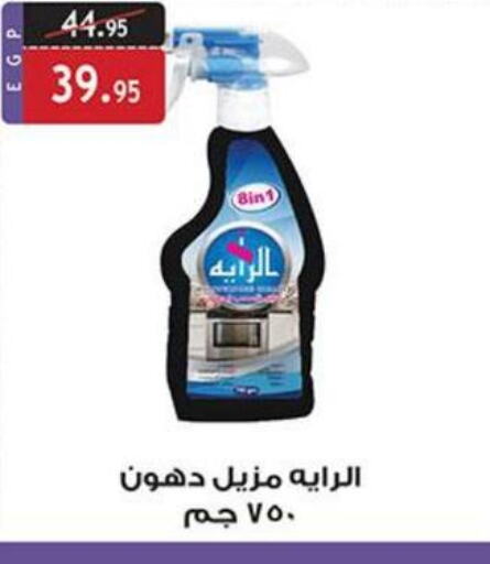  General Cleaner  in Al Rayah Market   in Egypt - Cairo