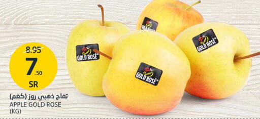  Apples  in مركز الجزيرة للتسوق in مملكة العربية السعودية, السعودية, سعودية - الرياض