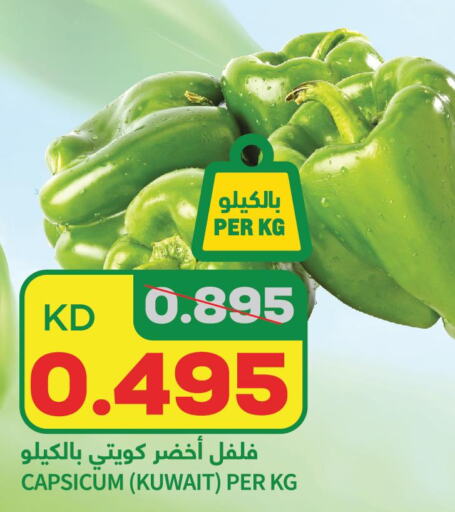  Chilli / Capsicum  in أونكوست in الكويت
