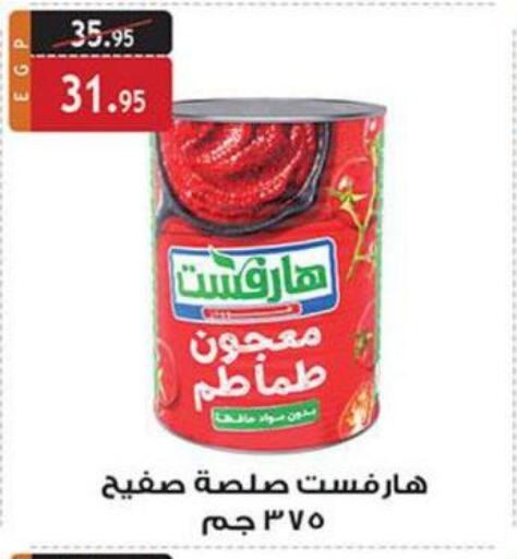  Tomato Paste  in الرايه  ماركت in Egypt - القاهرة
