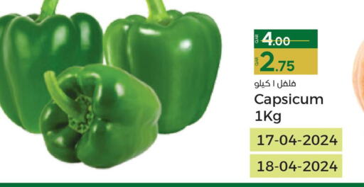  Chilli / Capsicum  in Paris Hypermarket in Qatar - Umm Salal