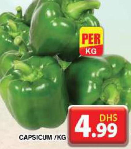  Chilli / Capsicum  in Grand Hyper Market in UAE - Dubai