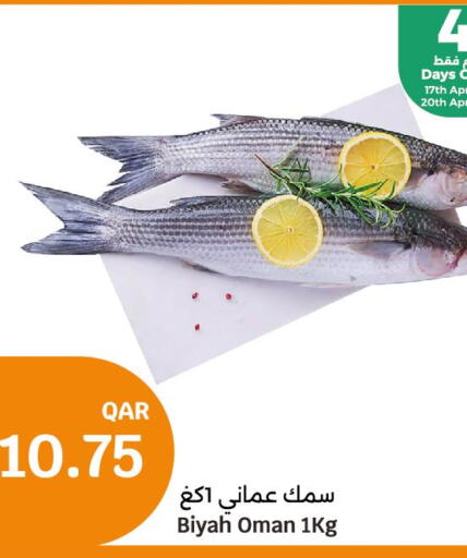  King Fish  in سيتي هايبرماركت in قطر - الخور