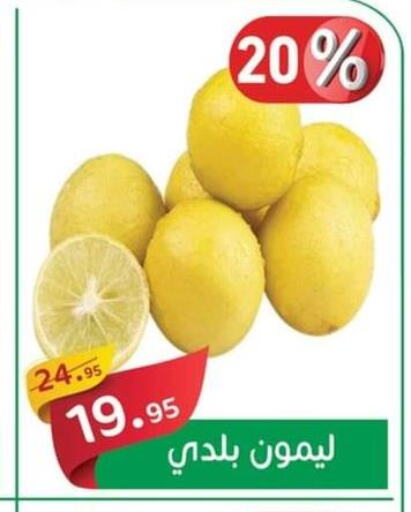  Banana  in أسواق العثيم in Egypt - القاهرة