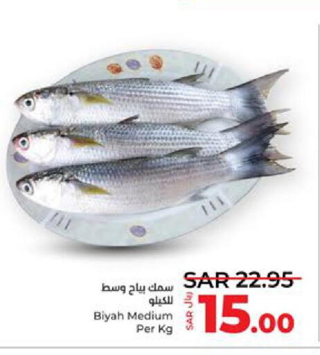  Tuna  in LULU Hypermarket in KSA, Saudi Arabia, Saudi - Jeddah