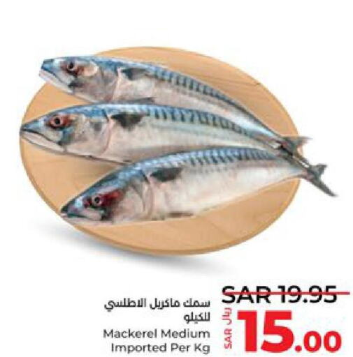  Tuna  in LULU Hypermarket in KSA, Saudi Arabia, Saudi - Tabuk