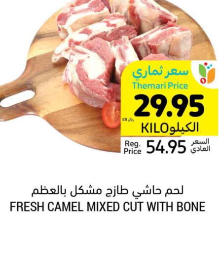  Camel meat  in Tamimi Market in KSA, Saudi Arabia, Saudi - Riyadh