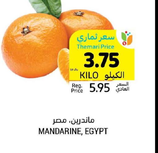  Pineapple  in أسواق التميمي in مملكة العربية السعودية, السعودية, سعودية - الرس