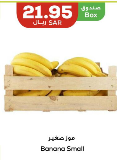  Banana  in Astra Markets in KSA, Saudi Arabia, Saudi - Tabuk
