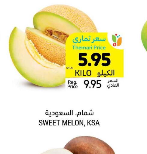  Sweet melon  in Tamimi Market in KSA, Saudi Arabia, Saudi - Buraidah