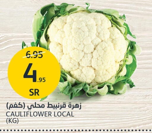  Cauliflower  in AlJazera Shopping Center in KSA, Saudi Arabia, Saudi - Riyadh
