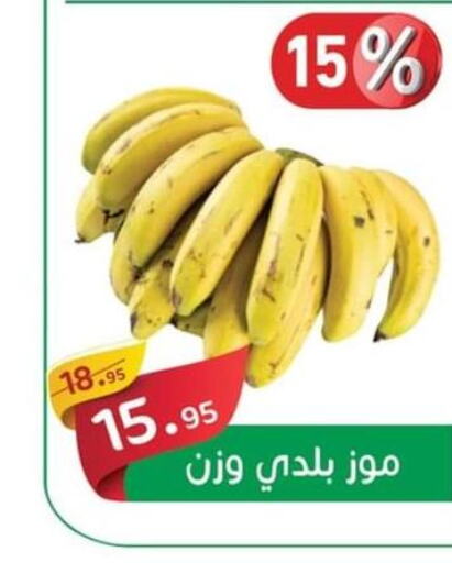  Banana  in أسواق العثيم in Egypt - القاهرة