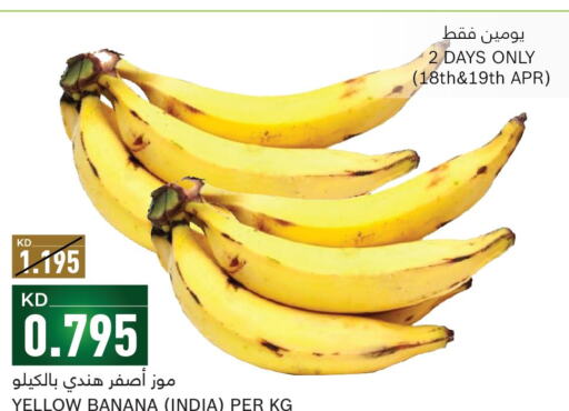  Banana  in Gulfmart in Kuwait - Ahmadi Governorate
