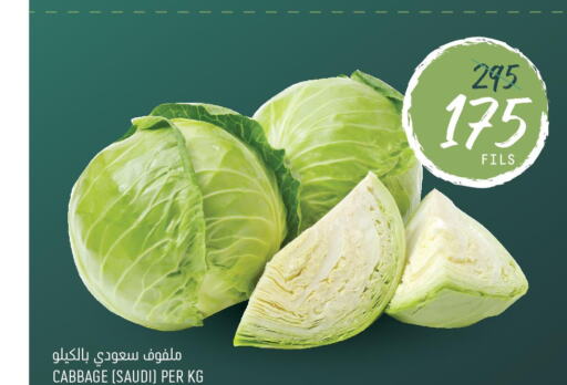  Cabbage  in Oncost in Kuwait - Kuwait City