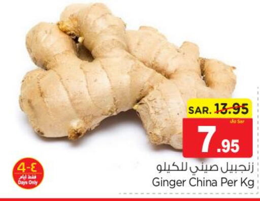  Ginger  in Nesto in KSA, Saudi Arabia, Saudi - Al-Kharj