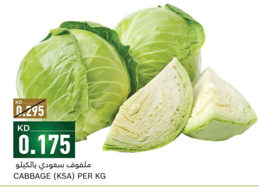  Cabbage  in Gulfmart in Kuwait - Ahmadi Governorate