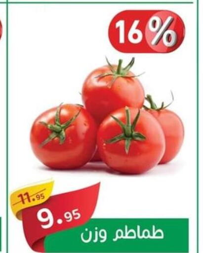  Tomato  in أسواق العثيم in Egypt - القاهرة