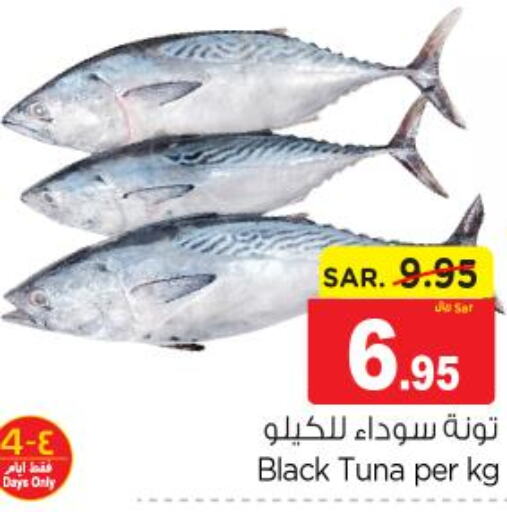  Tuna  in Nesto in KSA, Saudi Arabia, Saudi - Riyadh