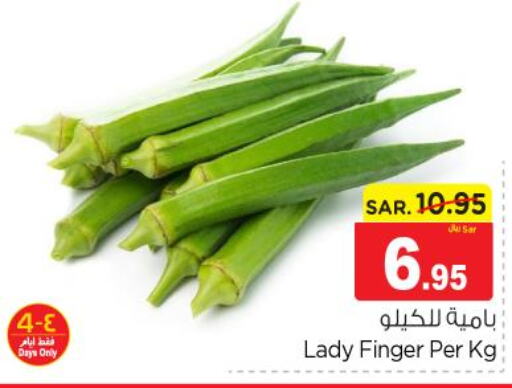  Lady's finger  in Nesto in KSA, Saudi Arabia, Saudi - Buraidah