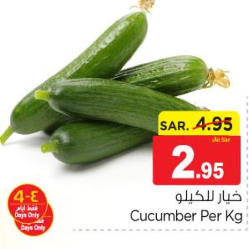  Cucumber  in Nesto in KSA, Saudi Arabia, Saudi - Riyadh