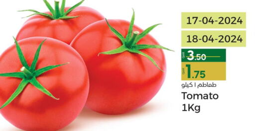  Tomato  in Paris Hypermarket in Qatar - Umm Salal