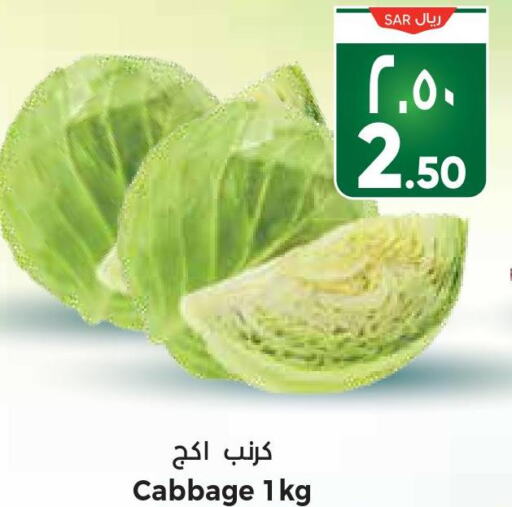  Cabbage  in ستي فلاور in مملكة العربية السعودية, السعودية, سعودية - حائل‎