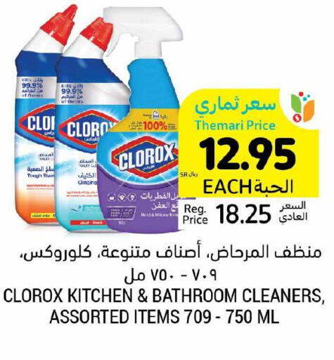 CLOROX Toilet / Drain Cleaner  in Tamimi Market in KSA, Saudi Arabia, Saudi - Al Khobar