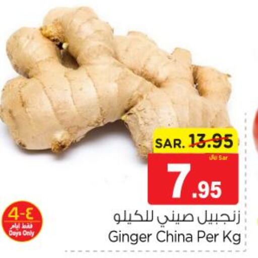  Ginger  in Nesto in KSA, Saudi Arabia, Saudi - Al Majmaah